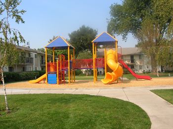 A playground with a yellow slide and a blue slide.